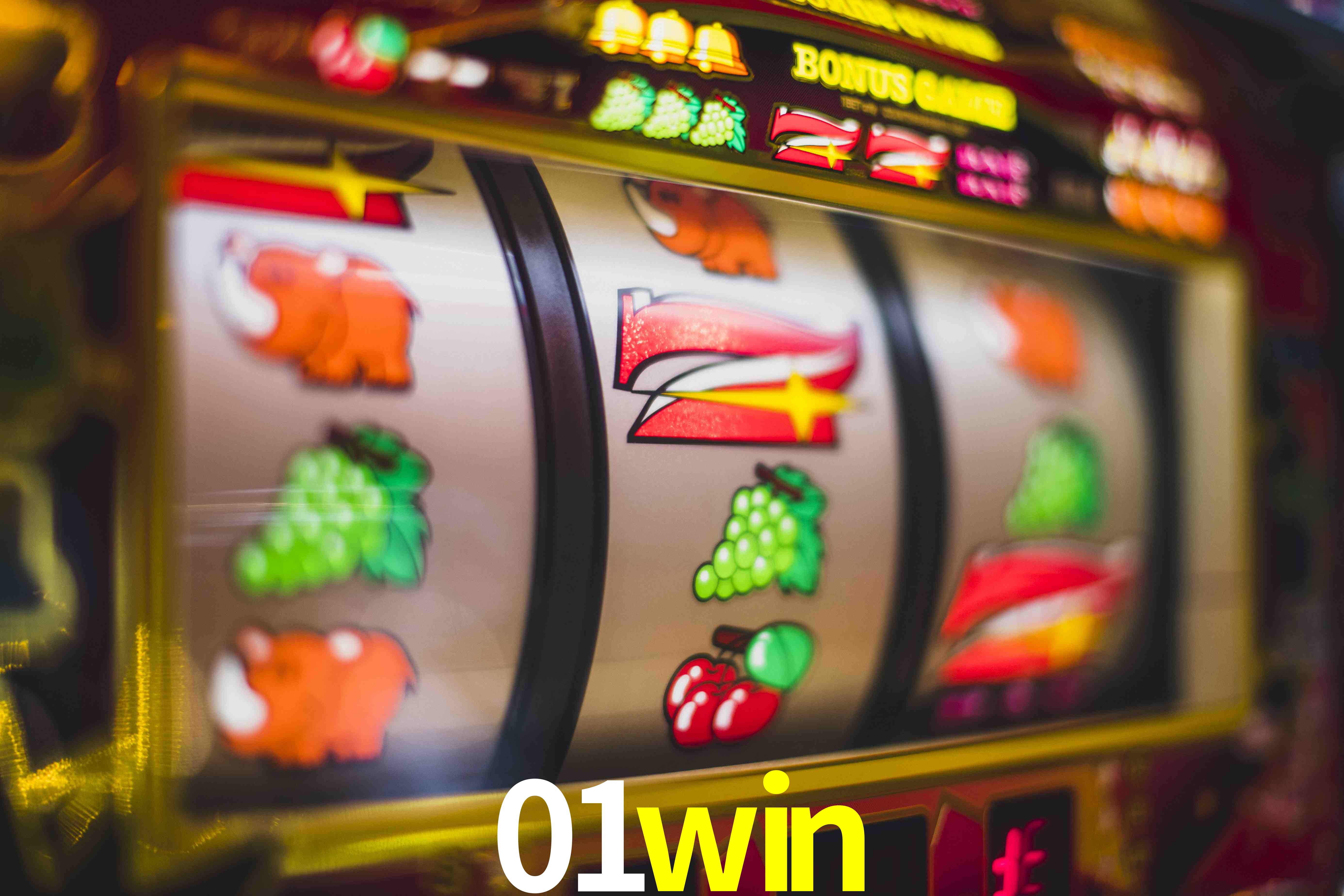 VIP Casino 01win